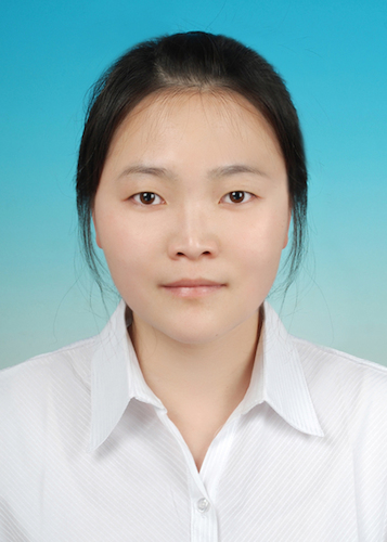 Dr.Li Qi Dr.Li Qi